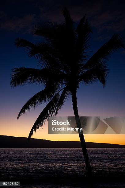 Lanai Tramonto Silhouette Di Palma - Fotografie stock e altre immagini di Albero - Albero, Albero tropicale, Ambientazione tranquilla