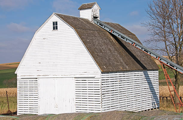 istock Conveyer belt to barn in Iowa 182426173