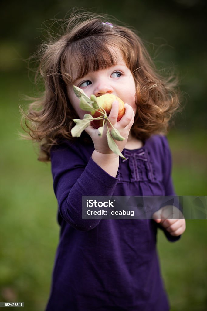 두 살배기 여자아이 사과를 먹고 - 로열티 프리 사과 스톡 사진