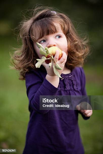두 살배기 여자아이 사과를 먹고 사과에 대한 스톡 사진 및 기타 이미지 - 사과, 2-3 살, 가을