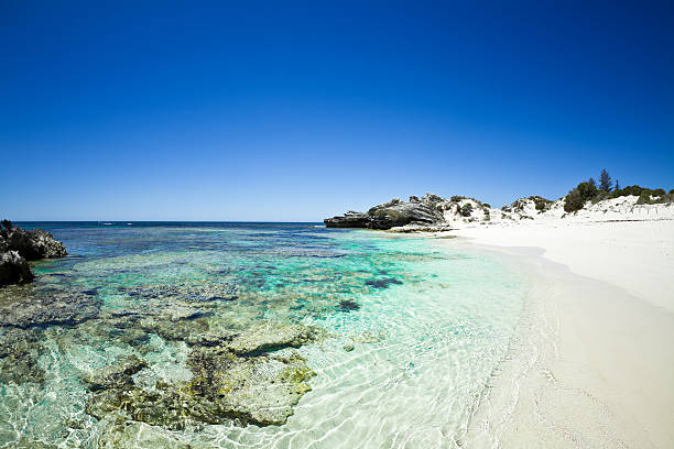 Australia Rottnest Island Clear Waters "beautiful view into the clear water of the ocean and along the beach of Rottnest Island, near Perth, Western Australia." rottnest island photos stock pictures, royalty-free photos & images