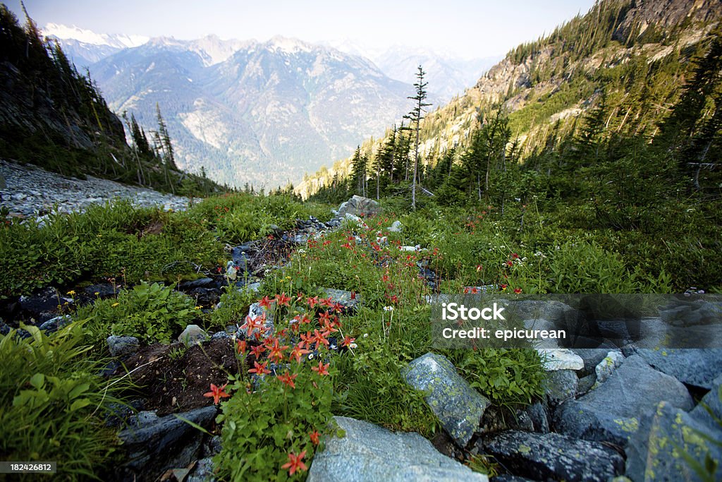 North Cascades National Park - Lizenzfrei Nationalpark North Cascades Stock-Foto