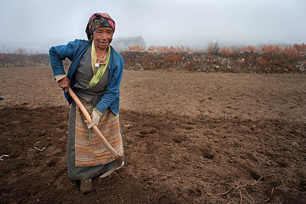 Nepali woman working in the field