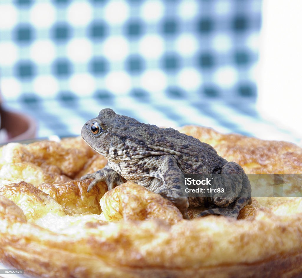 Tłuszcz toad siedzi na yorkshire pudding - Zbiór zdjęć royalty-free (Bliski)