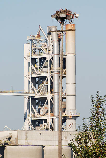 istock Ospreys in nest at concrete plant 182427814