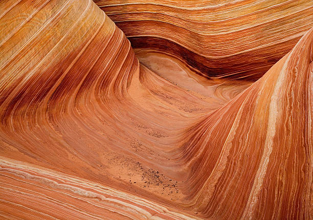 istock Sandstone Swirl at Coyote Buttes 182428011