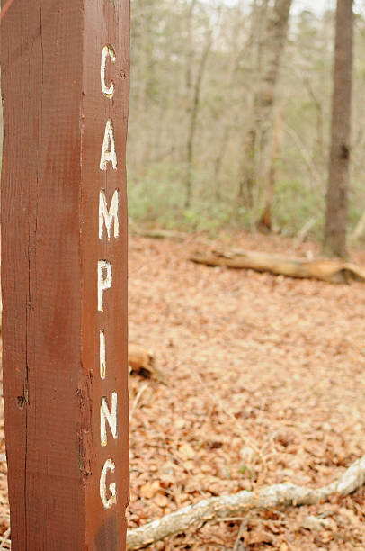 istock Camping sign in woods 182428855