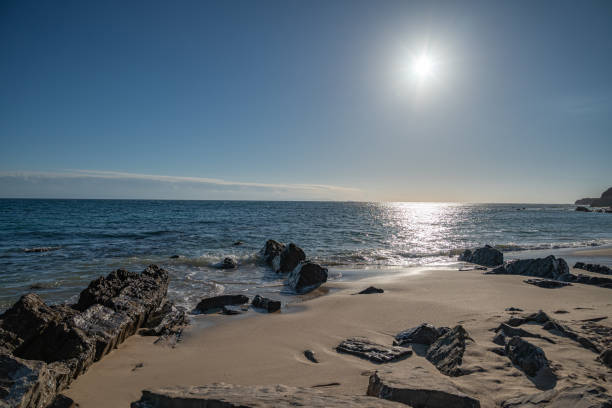 istock Rocky Beach on a Clear Day 1824289508