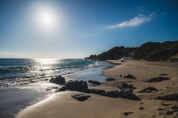 Rocky Beach on a Clear Day