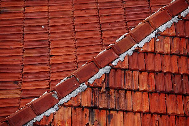 istock Terracotta Roof Tile 182429303