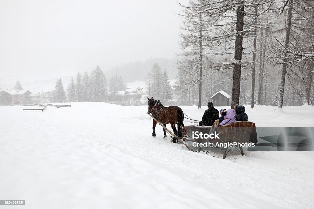 O Sanie w winter wonderland - Zbiór zdjęć royalty-free (Koń)