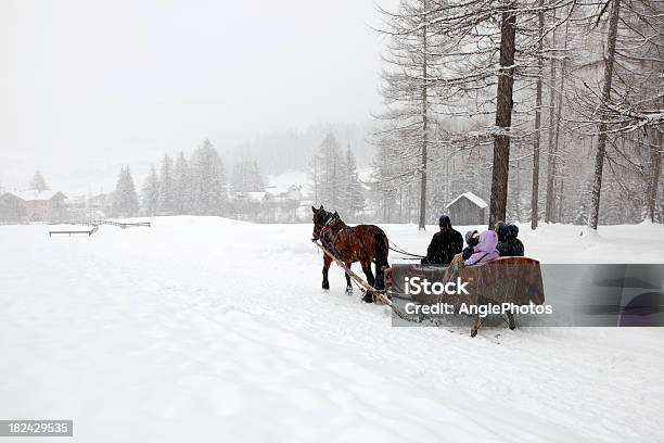 O Sanie W Winter Wonderland - zdjęcia stockowe i więcej obrazów Koń - Koń, Zima, Sanie