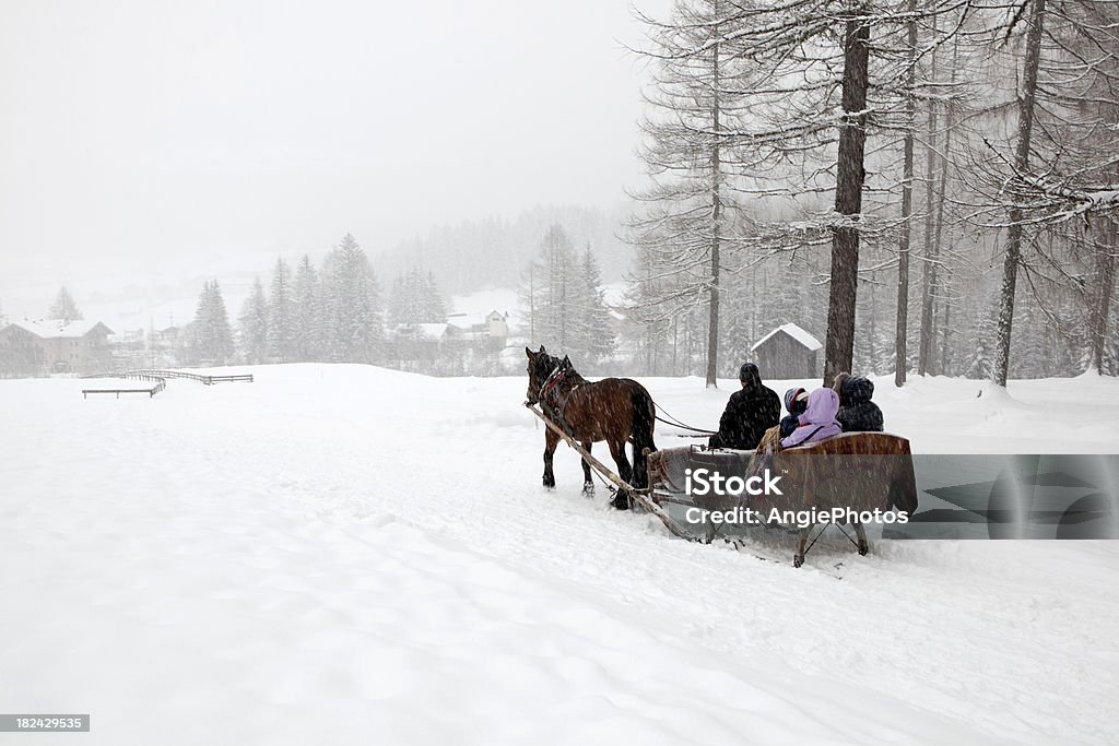 Com o Trenó pelo inverno País das Maravilhas - Royalty-free Cavalo - Família do Cavalo Foto de stock