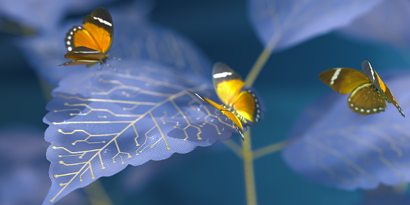 A macro image of blue high tech leaves with gold printed circuit board tracks with orange Forrester butterflies in mid flight nearby. With shallow depth of field and focus towards the front of the leaf.