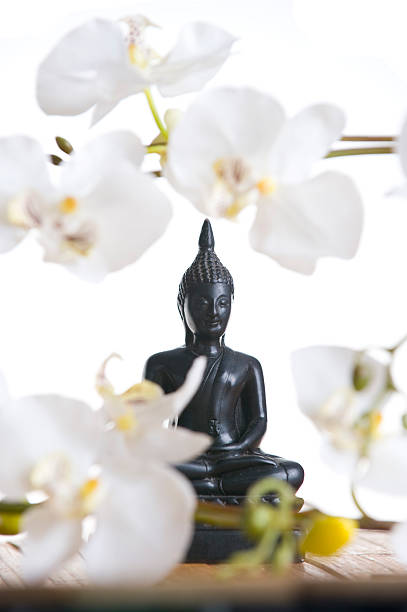 Buddha statue surrounded by soft focus orchid flowers