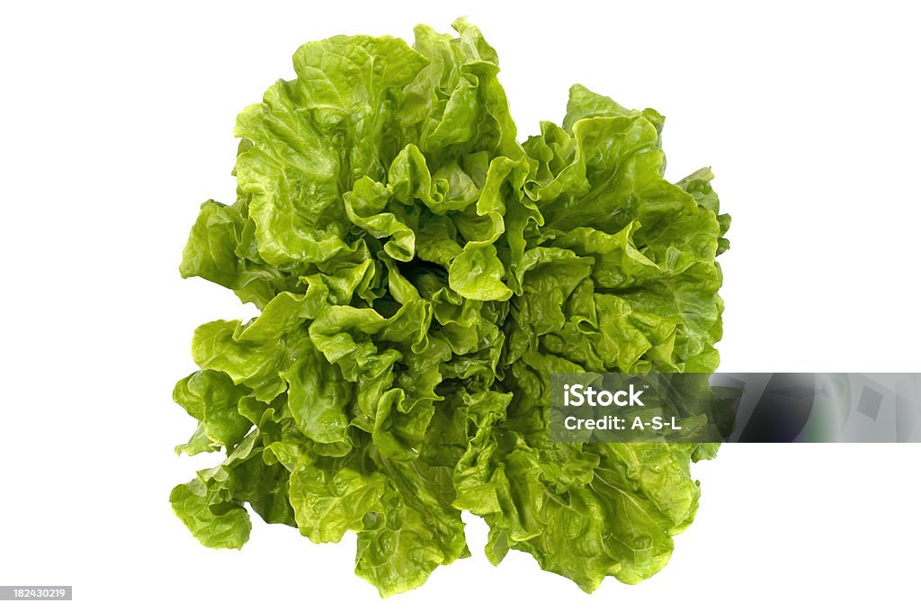 Lechuga frescas - Foto de stock de Lechuga libre de derechos