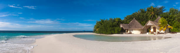 bathala island resort, północny atol ari, republika malediwów - crusoe zdjęcia i obrazy z banku zdjęć