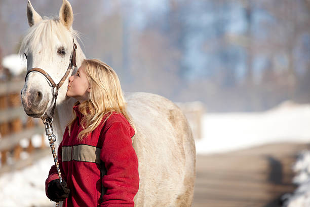 cavalo e rapariga - winter snow livestock horse imagens e fotografias de stock