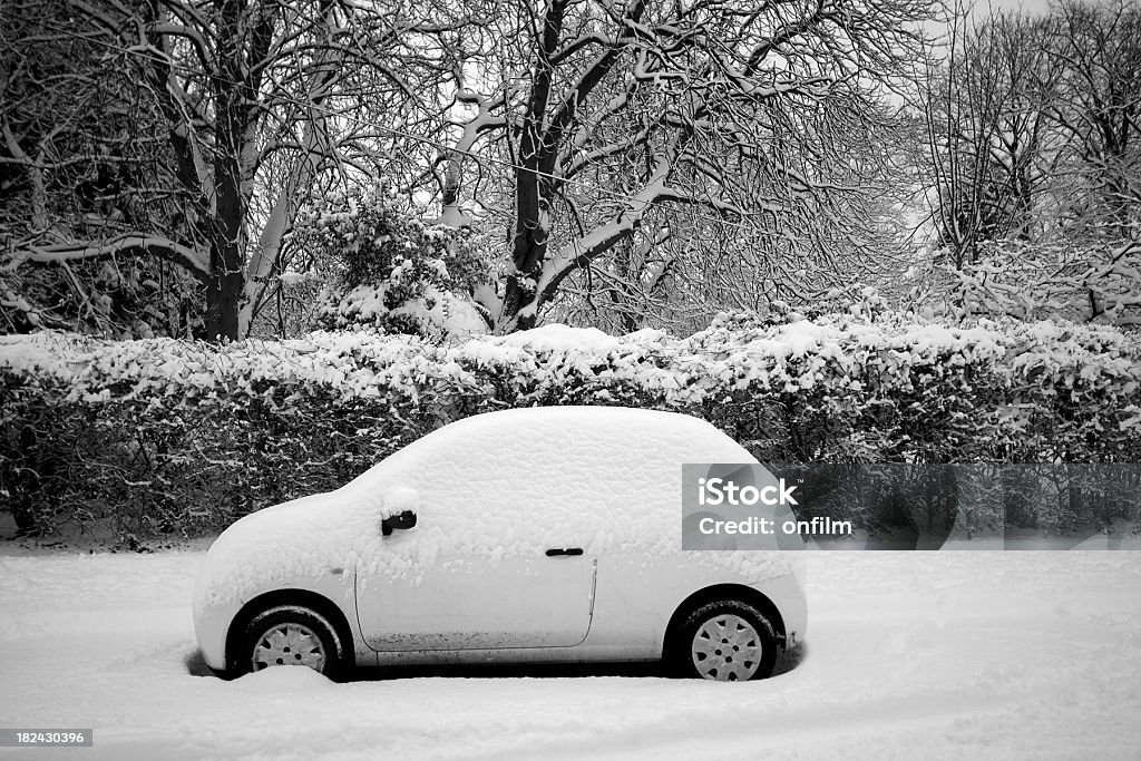 Small covered  in snow parked on the street Thick snow covering the street, hedge, trees and the parked car. Car Stock Photo