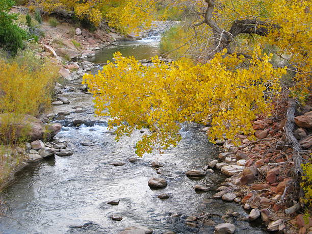 istock Creek Zion National Park 182430969