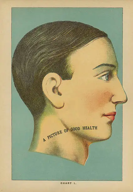 Photo of Antique Medical Illustration / Phrenology Head