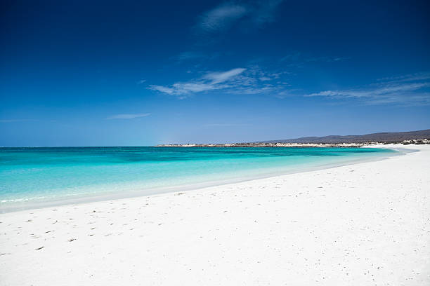Australia Exmouth Turquoise Bay "Beautiful Turquoise Bay, Ningaloo Reef, in Cape Range National Park near Exmouth, Western Australia." cape range national park photos stock pictures, royalty-free photos & images