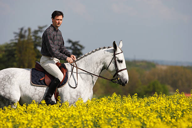 istock Rider in oilseed rape field 182432149