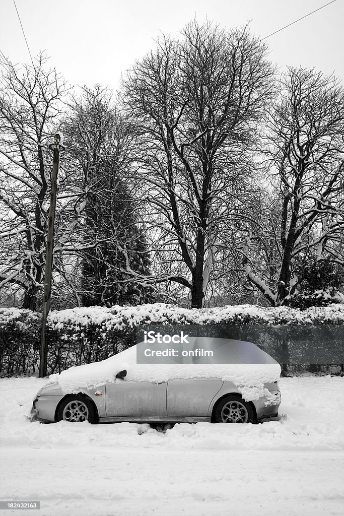 Nieve que cubre camino, árboles y automóvil - Foto de stock de Acera libre de derechos