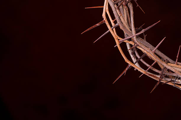istock Crown of Thorns 182432270