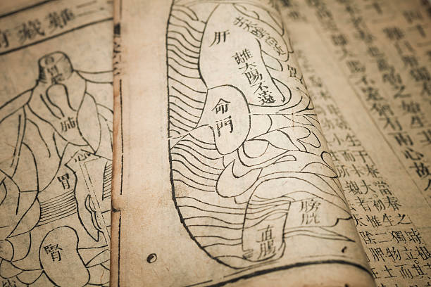 анатомия, китайской традиционной медицины древняя книга - chinese medicine medicine chinese script chinese culture стоковые фото и изображения