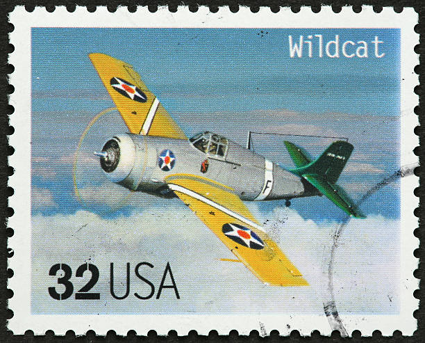 istock world war II Wildcat fighter 182432771