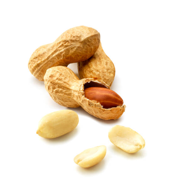 peanuts - peanut nut heap isolated 뉴스 사진 이미지