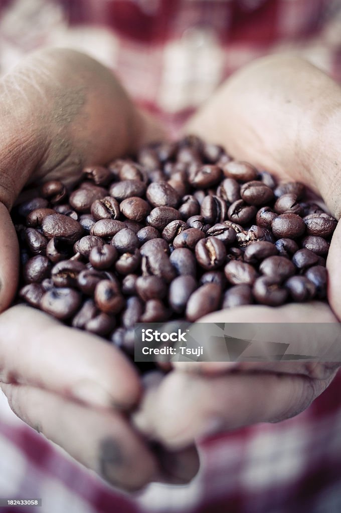 Manciata di chicchi di caffè - Foto stock royalty-free di Agricoltore