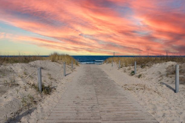 istock Path to the beach on the Baltic Sea, Usedom Island 1824331688