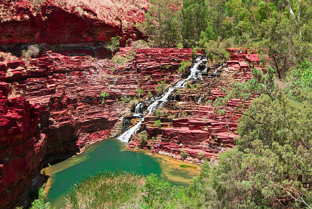 национальный парк ущелье dale karijini ручей - spinnifex стоковые фото и изображения