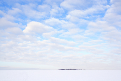 Winter landscape with frozen dry grass on a snowy field, bare trees under cloudy blue sky on the background. Natural photo