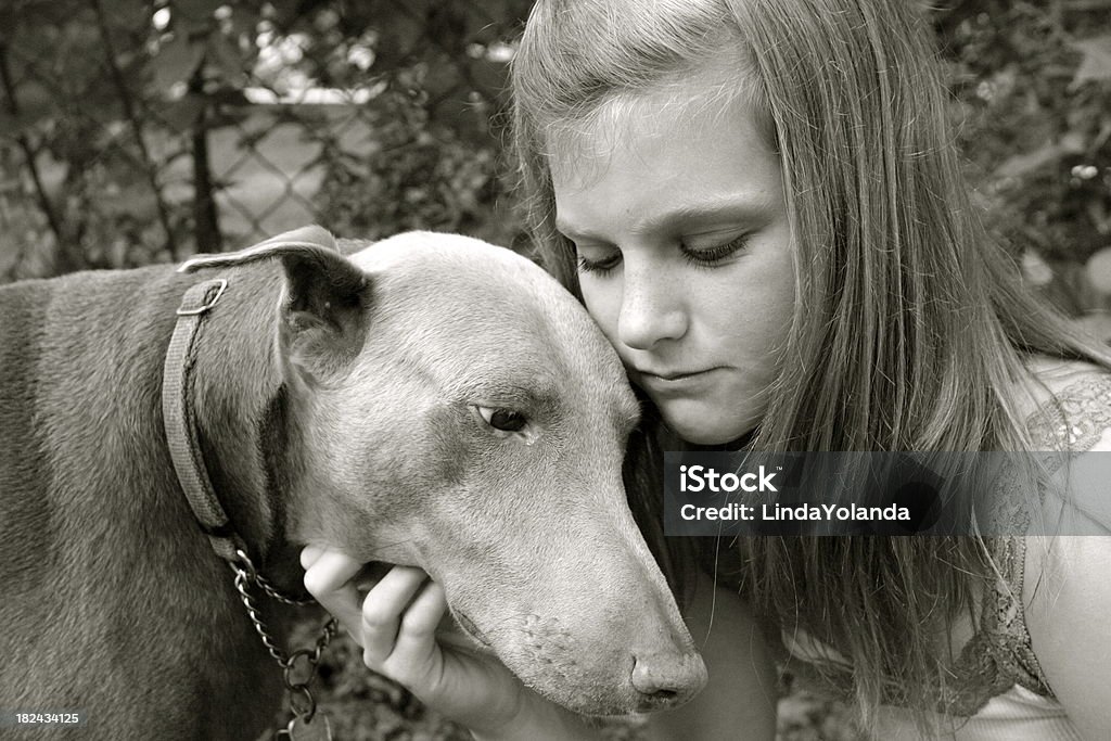 Kind umarmen Hund - Lizenzfrei Hund Stock-Foto