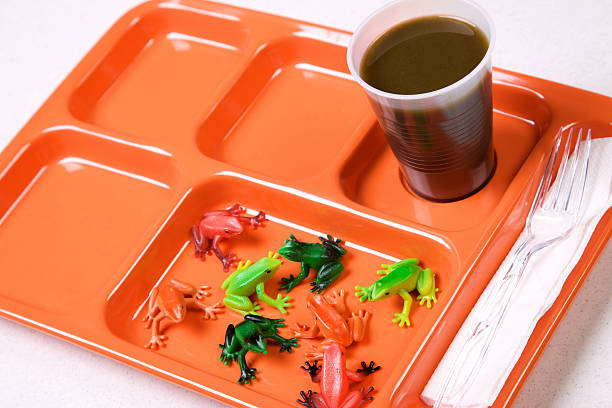istock environmental food -orange lunch tray diet series 182434296