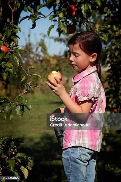 Foto de Garota Em Um Pomar e mais fotos de stock de 4-5 Anos - 4-5 Anos, 6-7 Anos, Adolescente