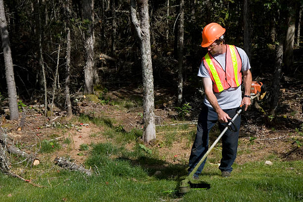 istock Man Mows Trims Grass Wearing Safety Equipment 182435493