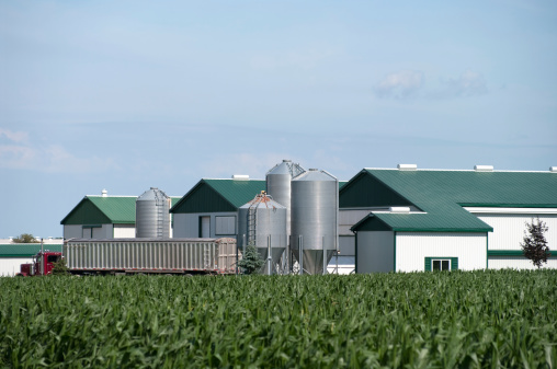 A truck used to deliver poultry feed is seen across a corn field next to the barns and grain bins as it prepares to unload.Sample of similar images in lightbxox: