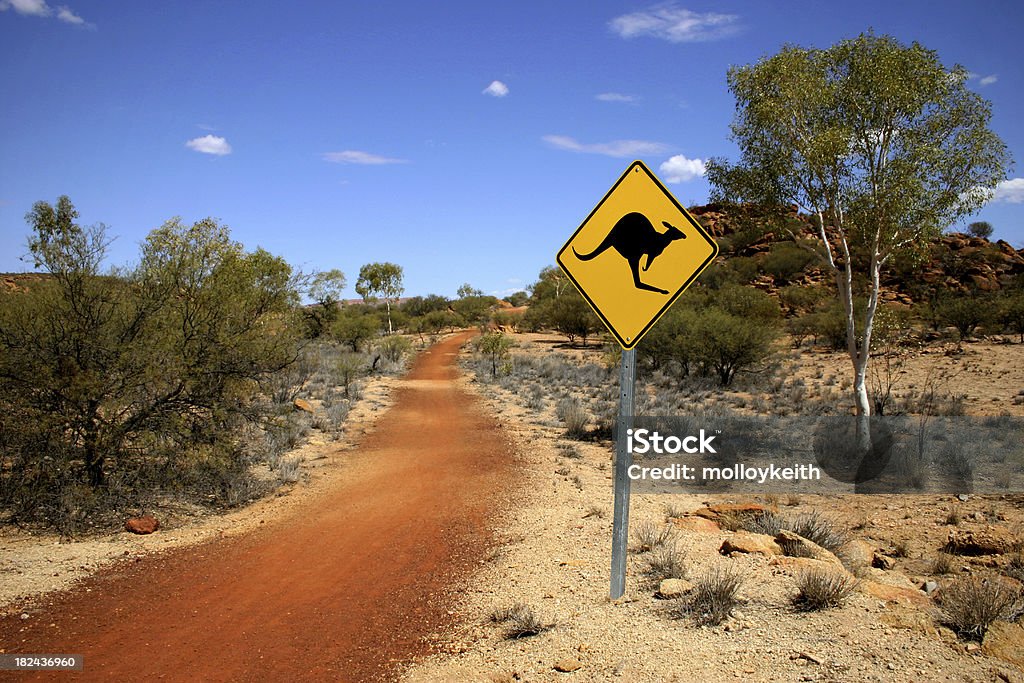 Canguro accesso all'entroterra australiano - Foto stock royalty-free di Australia