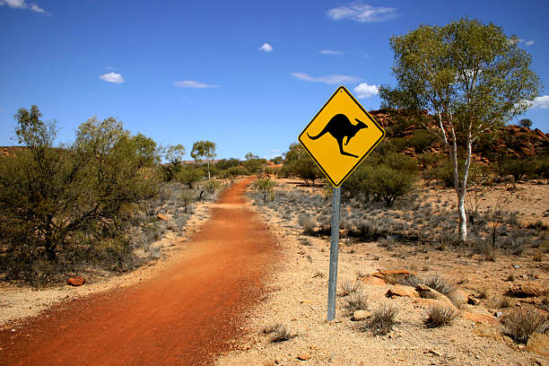 Kangaroo Sign in the Outback stock photo