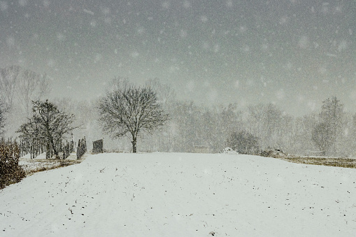 Falling snow over winter landscape with copy space