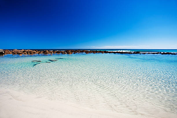 istock Rockpool at stokes bay, Kangaroo Island 182438106
