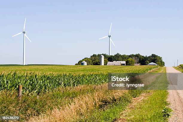 Ветряные И Cornfield В Сельских Айова — стоковые фотографии и другие картинки Айова - Айова, Кукуруза - урожай, Без людей