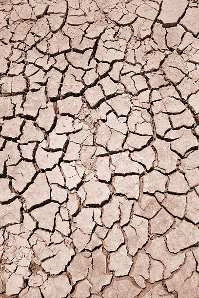 Dry lakebed Cracked ground found in shores of Laguna Hedionda, Potosi department, Bolivia lakebed stock pictures, royalty-free photos & images