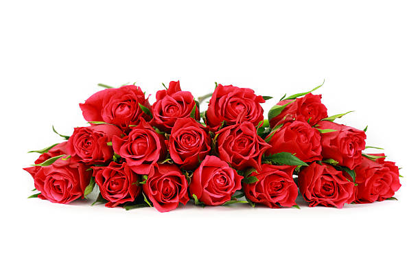 istock Large bunch of red roses face on, isolated white background 182439068