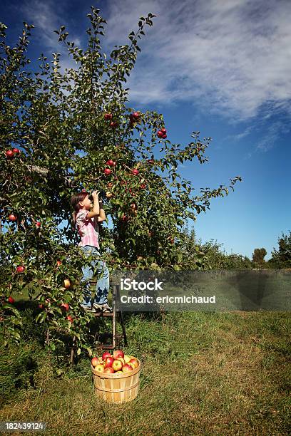 Chica Joven Con Binoculares Foto de stock y más banco de imágenes de 6-7 años - 6-7 años, Adolescente, Aire libre