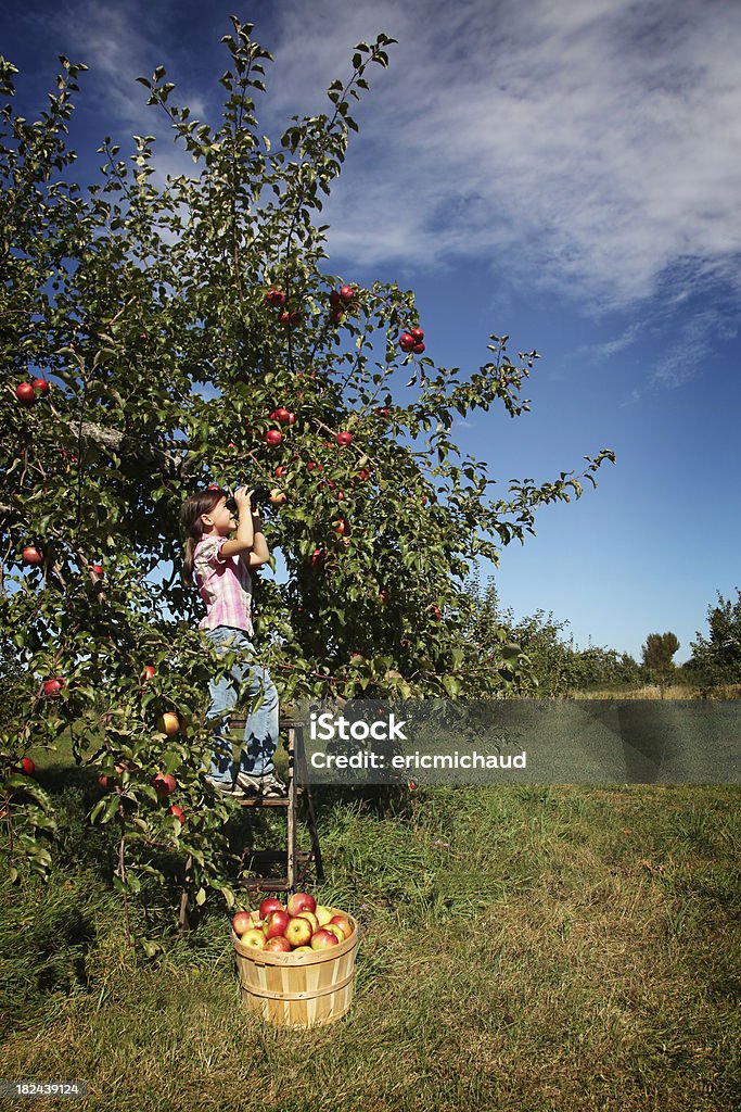 Jeune fille avec une paire de jumelles - Photo de 6-7 ans libre de droits